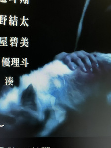 良いこと悪いこと オープニングで出てきた犬