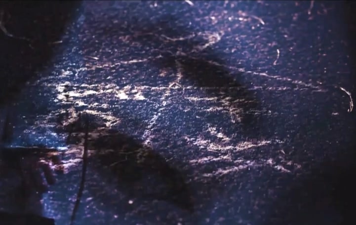 どの子とキングのアイアイ傘